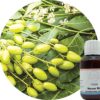 Huile de Neem Biologique Certifiée Cosmos – Image 2