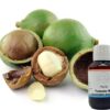Huile de Tamanu Biologique Certifié Cosmos – Image 2