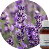 Lavender Regenerating Essence - Image 2